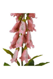 Natural Garden Collection Pale Pink Foxglove Artificial Flower Stem - thumbnail 2