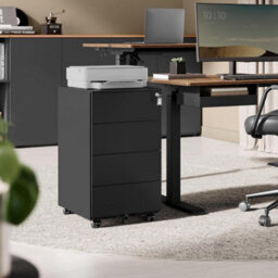 Songmics Mobile File Cabinet, Lockable, With 4 Drawers, Hold Documents, Stationery, Pre-Assembled, Office, Home Office, Ink Black - thumbnail 1