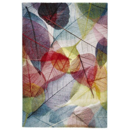 Multi Nature Print Modern Easy To Clean Graphics Rug For Dining Room -160Cm X 220Cm - thumbnail 1