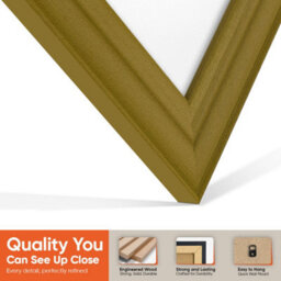"16X16"" Gold Classic Vinyl Record Frame With White Mount For 12 Inch Lp Disc - Ak Frames" - thumbnail 3