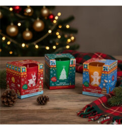 Pan Aroma 3 Christmas Scented Glass Candles Gingerbread Citrus & Cinnamon Forest 25H Burn - thumbnail 3