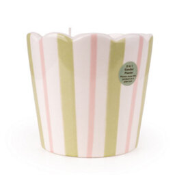 Candlelight Green, Pink & White Stripe Woodsage & Seasalt Small Decorative Candle - thumbnail 1