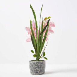 Homescapes Artificial Pink Cymbidium Orchid Plant In Cement Pot, 2 Stems, 58 Cm Realistic Indoor Artificial Flower - thumbnail 7