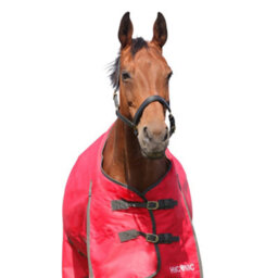 "Hyconic Standard-Neck 200G Horse Turnout Rug Red (6 3"")" - thumbnail 2