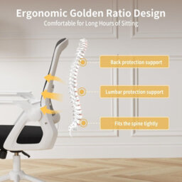 Onemill Executive Office Chair With Padded Seat Cushion, Flip-Up Armrest And Lumbar Support For Home Or Office Use - thumbnail 5