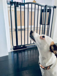 Bettacare Curved Top Dog Gate, 98Cm -107Cm, Matt Black, Pressure Fit Pet Gate For Dog And Puppy, Pet And Dog Barrier - thumbnail 8