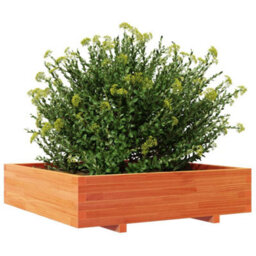 Berkfield Garden Planter Wax Brown 100X100X26.5 Cm Solid Wood Pine - thumbnail 4
