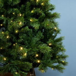 Christmas Tree World The 5Ft/150Cm Pre-Lit Majestic Dew Pine Christmas Tree - thumbnail 3