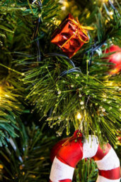 Christmas Tree World The 5Ft/150Cm Pre-Lit Majestic Dew Pine Christmas Tree - thumbnail 6