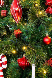 Christmas Tree World The 5Ft/150Cm Pre-Lit Majestic Dew Pine Christmas Tree - thumbnail 5