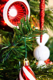 Christmas Tree World The 5Ft/150Cm Pre-Lit Majestic Dew Pine Christmas Tree - thumbnail 7