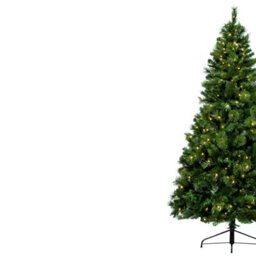 Christmas Tree World The 5Ft/150Cm Pre-Lit Majestic Dew Pine Christmas Tree - thumbnail 4