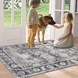 Ameha Door Mat Indoor 80X150 Cm Cashmere  Entrance Floor Mats Non Slip Doormats Low Pile Super Soft Front Door Mat (Harmony) - thumbnail 5