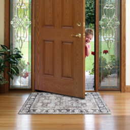 Ameha Door Mat Indoor 80X150 Cm Cashmere  Entrance Floor Mats Non Slip Doormats Low Pile Super Soft Front Door Mat (Harmony) - thumbnail 9