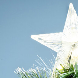 Christmas Tree World The 7Ft/210Cm Frosted Led Pine Fibre Optic Tree - thumbnail 4