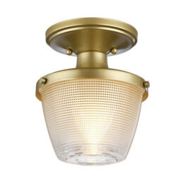 Elegant Ip44 Rated 1 Bulb Flush Light In Painted Natural Brass - Led Compatible