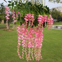 Living And Home Set Of 12 Artificial Hanging Plants Bouquet Simulation Decoration Wisteria Flowers - thumbnail 3