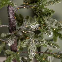Samuel Alexander 6Ft (1.8M) Light Up Noel Snow Christmas Tree With 312 Warm White Leds & Brown Stand - thumbnail 5