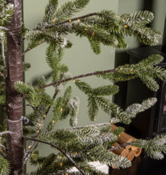 Samuel Alexander 6Ft (1.8M) Light Up Noel Snow Christmas Tree With 312 Warm White Leds & Brown Stand - thumbnail 6