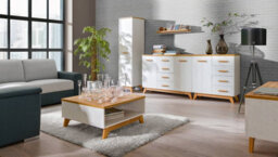 Arte Sven Sv2 Slim Hinged Wardrobe - Compact Storage In Anderson Pine, H1850mm W450mm D520mm - thumbnail 2