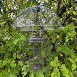 Selections Heavy Duty Squirrel Proof Hanging Bird Nut Feeder & Plastic Baffle - thumbnail 4