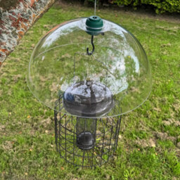 Selections Heavy Duty Squirrel Proof Hanging Bird Nut Feeder & Plastic Baffle - thumbnail 3