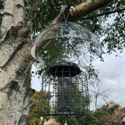 Selections Heavy Duty Squirrel Proof Hanging Bird Nut Feeder & Plastic Baffle - thumbnail 5