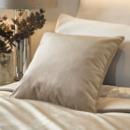 Soirée Melanie Luxe Beige Velvet Filled Cushion