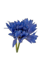 Blue Cornflower Stem, Realistic Summer Meadow Floral Accent - thumbnail 1
