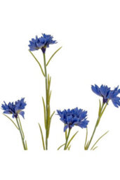 Blue Cornflower Stem, Realistic Summer Meadow Floral Accent - thumbnail 3