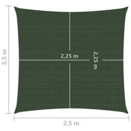 Berkfield Sunshade Sail 160 G/m2 Dark Green 2.5X2.5 M Hdpe - thumbnail 6