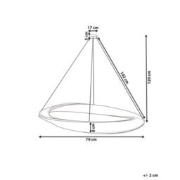 Wyld And Coco Glitzlux Gold Iron Chandelier Pendant Lamp With Adjustable Cord And Led 79Cm. - thumbnail 3
