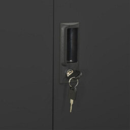 Vidaxl Office Cabinet Anthracite 90X40X180 Cm Steel - thumbnail 8