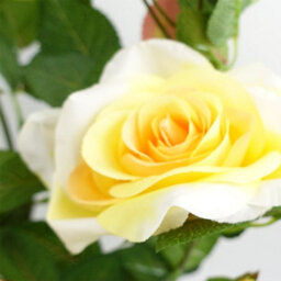 Leaf 50Cm Artificial Yellow Rose Plant - thumbnail 2