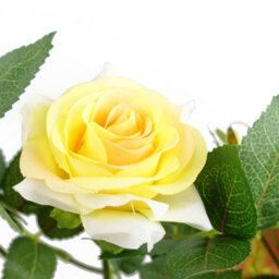Leaf 50Cm Artificial Yellow Rose Plant - thumbnail 3