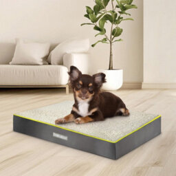 Dreamcatcher Grey Medium Dog Bed Orthopaedic Flat Crate Pet Mattress 76X51X9Cm, Removable Washable Cover
