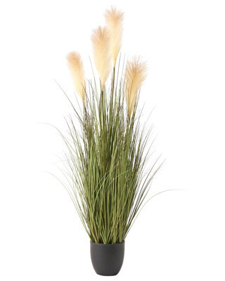 Wyld And Coco Artificial Pampas Grass Potted Plant 120Cm, Green And White Plumes In Black Pot - image 1