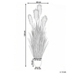 Wyld And Coco Artificial Pampas Grass Potted Plant 120Cm, Green And White Plumes In Black Pot - thumbnail 4