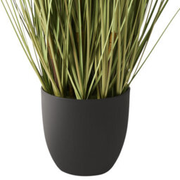 Wyld And Coco Artificial Pampas Grass Potted Plant 120Cm, Green And White Plumes In Black Pot - thumbnail 5