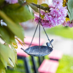 Marco Paul Metal Hanging Chain Bird Feeder For Wild Birds - thumbnail 7