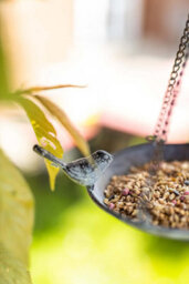 Marco Paul Metal Hanging Chain Bird Feeder For Wild Birds - thumbnail 6