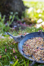 Marco Paul Metal Hanging Chain Bird Feeder For Wild Birds - thumbnail 3