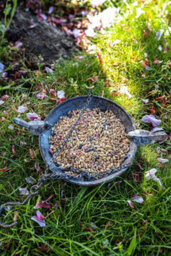 Marco Paul Metal Hanging Chain Bird Feeder For Wild Birds - thumbnail 2