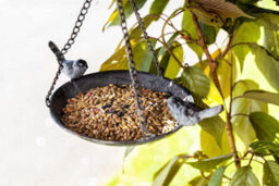 Marco Paul Metal Hanging Chain Bird Feeder For Wild Birds - thumbnail 1