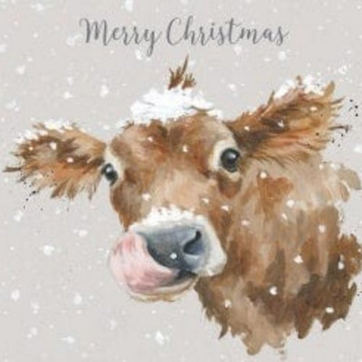 Wrendale Designs First Taste Of Snow Luxury Christmas Cards Box Of 8, 16 X 16 Cm, Biodegradable Glitter