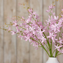 Wyld Haus Set Of 3 Lilac Cymbidium Artificial Orchid Sprays 950mm Tall - thumbnail 4