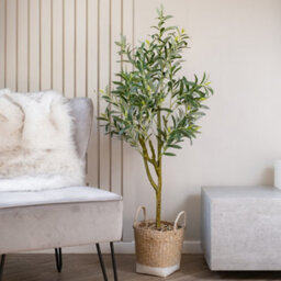 Scottish Everlastings Ltd. Scottish Everlastings 125Cm Artificial Olive Tree In Basket - thumbnail 1