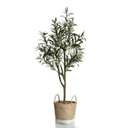 Scottish Everlastings Ltd. Scottish Everlastings 125Cm Artificial Olive Tree In Basket - thumbnail 2