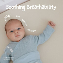 MHG Living Pack Of 2 Fitted Cot Sheets, 100% Cotton Jersey - Soft & Breathable - Ecru & Brown - Fits 140X70Cm Cots - thumbnail 3