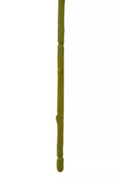 Orsina Delphinium Spike - 90Cm White, Elegant Faux Stem With Layered White Blossoms And Tall Green Stalk - thumbnail 8